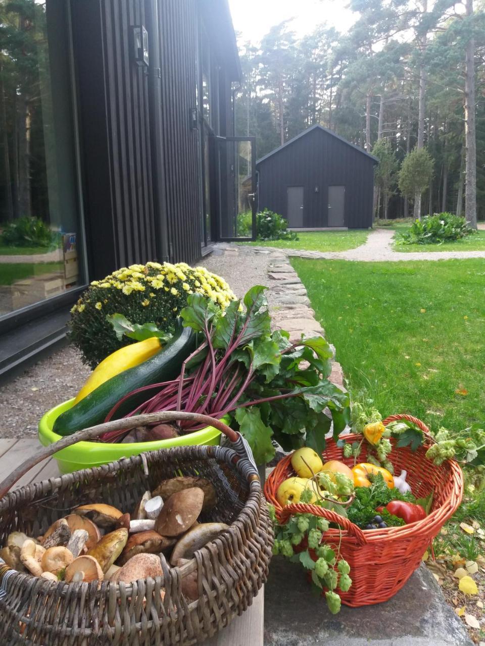 Hobekala Guesthouse Kalana Luaran gambar